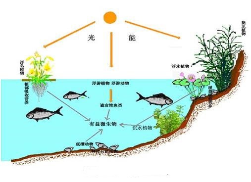 河道、湖泊生态修复系统技术